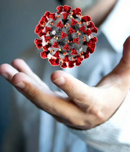 Targeted therapy treatment concept